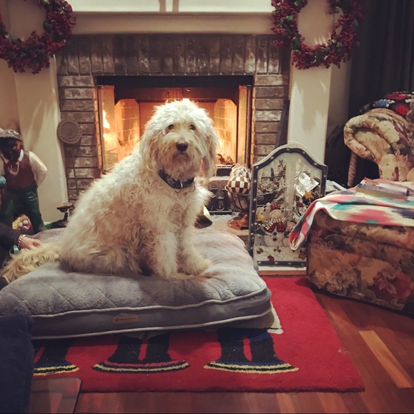 Meet the Posher - Picture 2 of 2